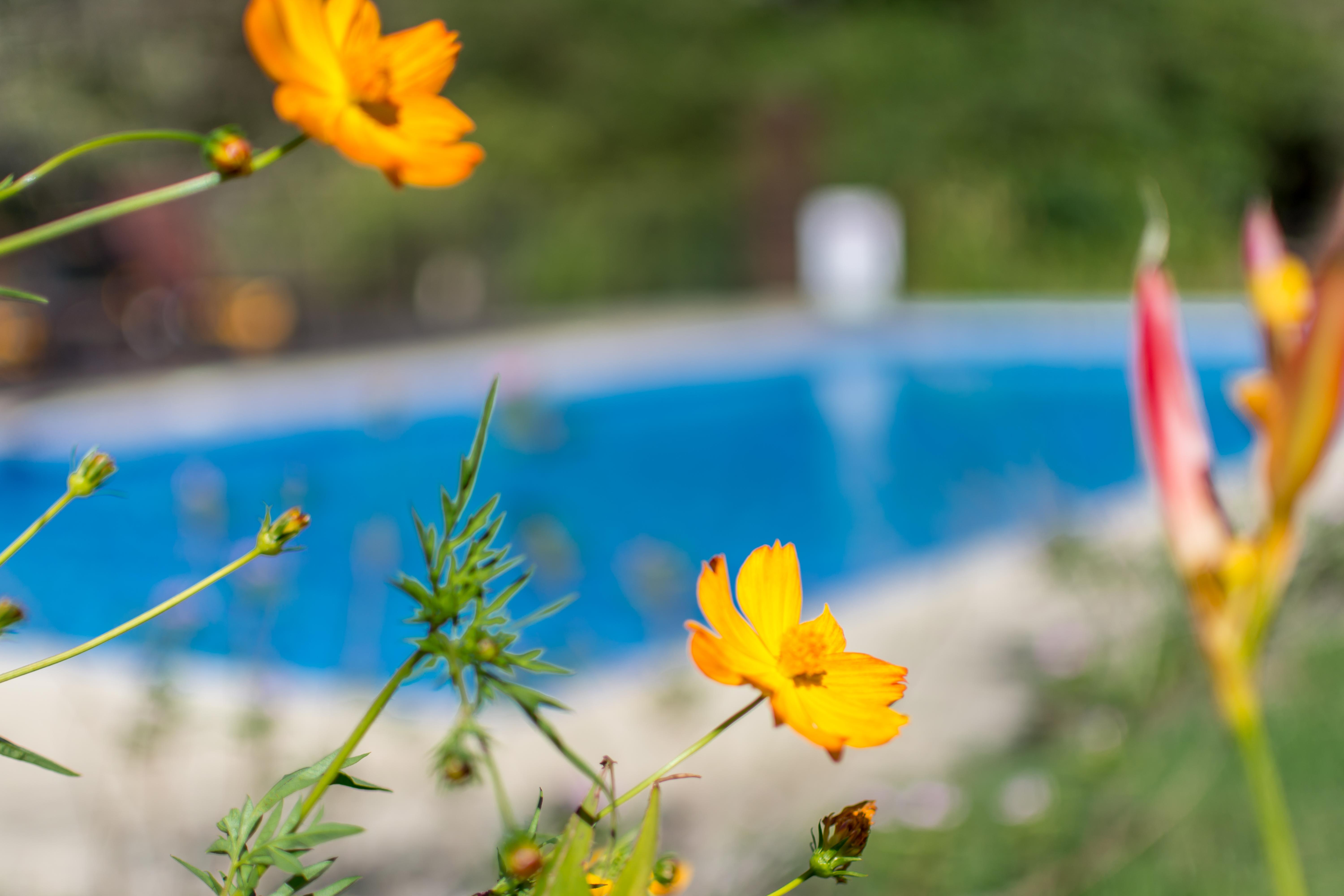 Rinconcito Lodge Hacienda Santa María Екстериор снимка